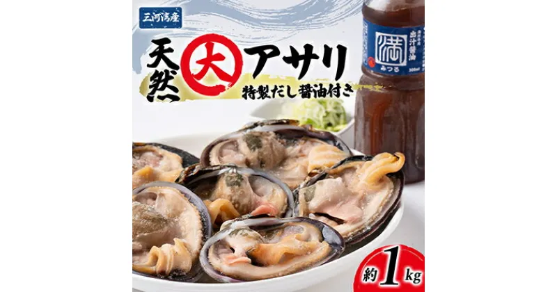 【ふるさと納税】 大あさり 冷凍 簡単 1kg 特製 海鮮 だし醤油 付き 下処理済 焼く 便利 貝 かい 天然 魚介 海の幸 海鮮 新鮮 あさり バーベキュー BBQ 国産 おすすめ 人気 愛知県 南知多町【配送不可地域：離島】