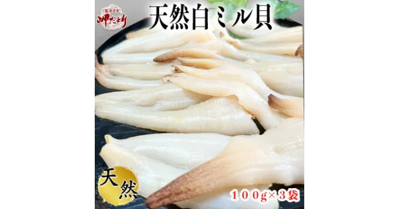 【ふるさと納税】岬だより ＜貝専門店＞ 天然 白ミル貝 100g × 3袋 冷凍 新鮮 海鮮 鮮度 風味 魚介 貝 海の幸 おかず お刺身 寿司 バター焼き ご飯 甘み おつまみ 酒 おすすめ 人気 愛知県 南知多町 三河湾【配送不可地域：離島】