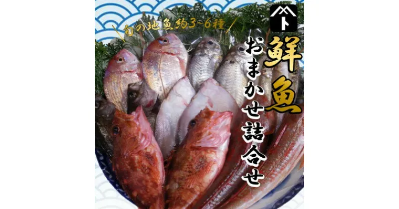 【ふるさと納税】 詰め合わせ 鮮魚 旬 3 ~ 6種 鯛 メバル カサゴ イカ カレイ ヒラメ 詰め合わせ セット 愛知県 南知多町 海鮮 海の幸 セット 魚介 新鮮 人気 おすすめ 【配送不可地域：離島・北海道・沖縄県・東北・中国・四国・九州】