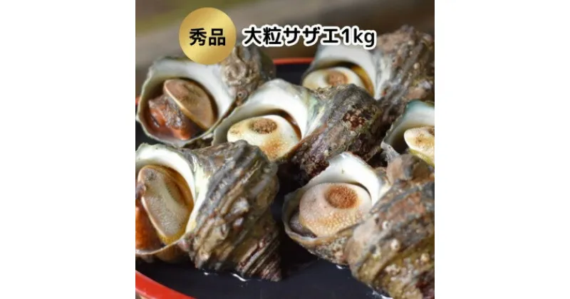 【ふるさと納税】 サザエ 冷凍 刺し身 1kg ( 約6～7個 ) 生食可 冷凍 海鮮 新鮮 大粒 酒 おすすめ 人気 愛知県 南知多町【配送不可地域：離島】