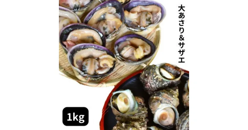 【ふるさと納税】 海鮮 バーベキュー セット 1kg [ 大あさり 500g サザエ 500g ] だし 醤油 付き 夏 家族 BBQ おすすめ 人気 愛知県 南知多町【配送不可地域：離島】