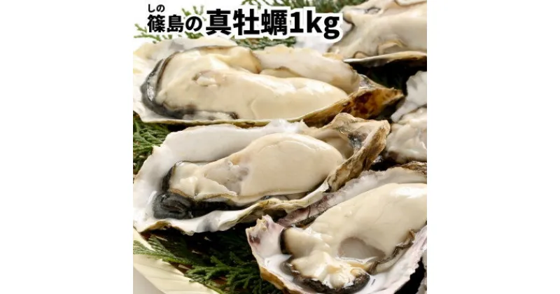 【ふるさと納税】 殻付き 真牡蠣 カキ [ 生食用 カキ 冷凍 カキ ] 1kg セット 海鮮 バーベキュー BBQ 浜焼き 夏 おすすめ 人気 愛知県 南知多町【配送不可地域：離島】