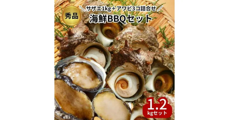 【ふるさと納税】 海鮮 バーベキュー セット 冷凍 サザエ 1kg アワビ 3コ 贅沢 貝 かい 詰め合わせ BBQ 夏 家族 おすすめ 人気 愛知県 南知多町【配送不可地域：離島】