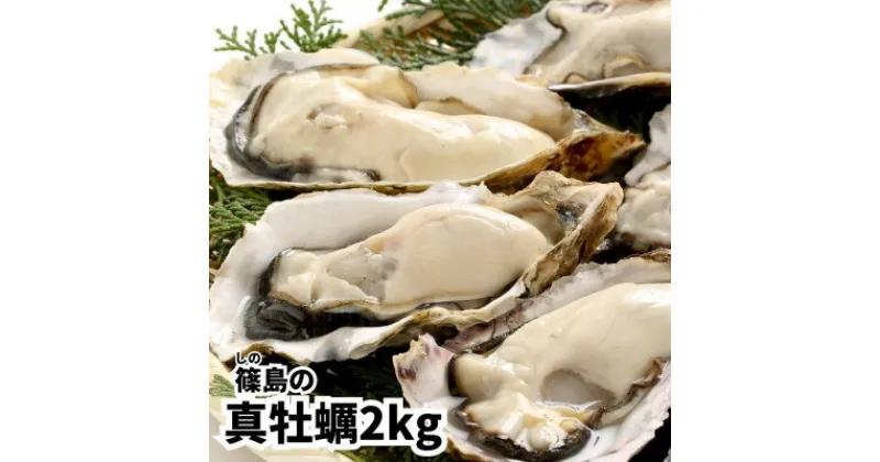 【ふるさと納税】 牡蠣 殻付き 真牡蠣 2kg 生食用 冷凍 海鮮 貝 海産物 バーベキュー BBQ 魚貝類 海の幸 海のミルク 海鮮浜焼き 夏 おすすめ 人気 愛知県 南知多町 篠島【配送不可地域：離島】