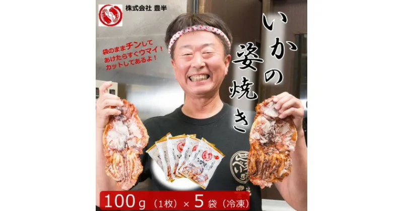 【ふるさと納税】 いか 姿焼き 100g × 5袋 カット済 冷凍 小分け イカ 姿 焼き カット ( ふるさと納税 イカ せんべい ふるさと納税 せんべい ふるさと納税 いか せんべい ふるさと納税 イカ焼き ふるさと納税 いか焼き ふるさと納税 おつまみ 酒の肴 ) 愛知県 南知多町