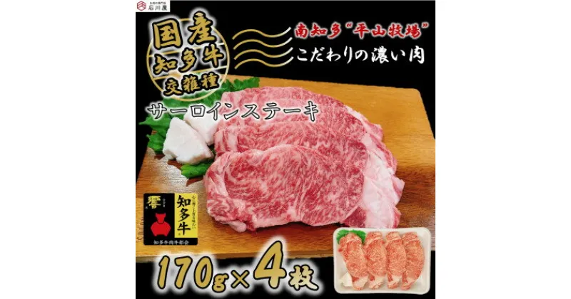 【ふるさと納税】 国産 牛肉 サーロインステーキ 680g ( 170g × 4枚 ) 知多牛 響 冷凍 牛 サーロイン ステーキ お肉 肉 ご飯 ごはん 料理 ご褒美 記念日 お祝い ブランド 人気 おすすめ 愛知県 南知多町 【配送不可地域：離島】