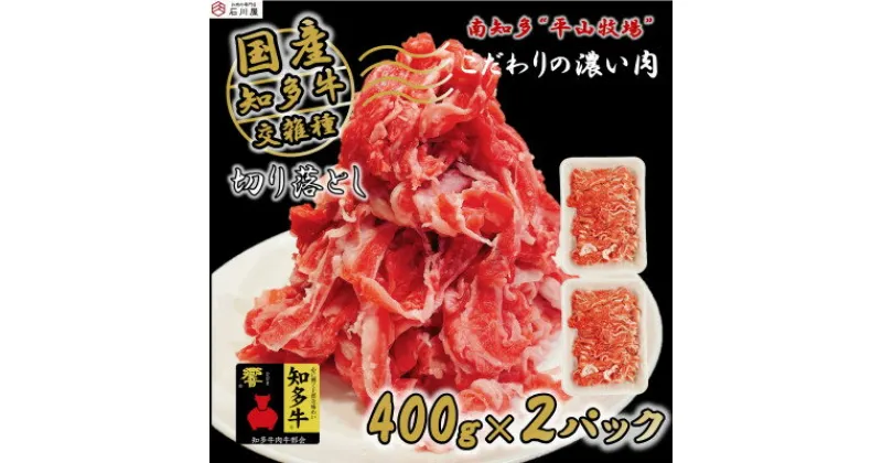 【ふるさと納税】 国産 牛肉 切り落とし 800g 小分け 400g × 2P 知多牛 響 国産牛 ( ふるさと納税 肉 切り落とし ふるさと納税 牛 切り落とし ふるさと納税 牛肉 切り落とし ふるさと納税 切り落し ふるさと納税 知多牛 ) 愛知県 南知多町 【配送不可地域：離島】