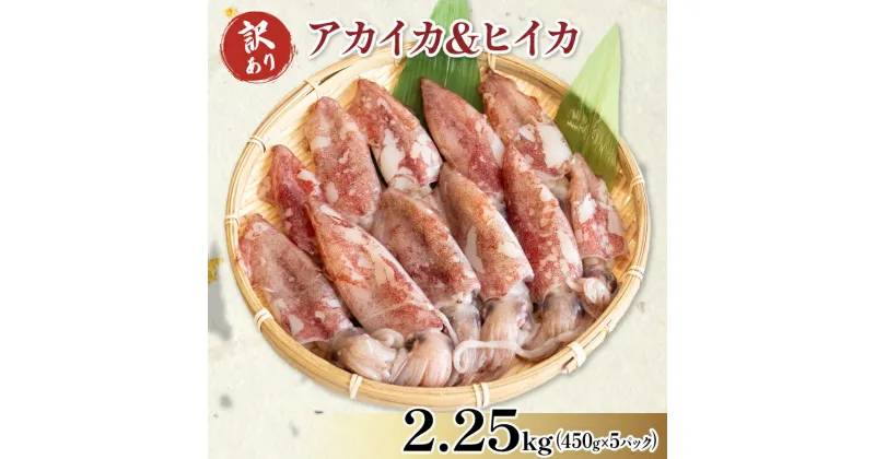 【ふるさと納税】 訳あり 小イカ ( アカイカ ヒイカ ) 約2.25kg(450gx5パック) 不揃い 小分け 冷凍 刺身 ( ふるさと納税 いか ふるさと納税 イカ ふるさと納税 刺身 ふるさと納税 海鮮 ケンサキイカ ジンドウイカ 魚太郎 ) 愛知県 南知多町【配送不可地域：離島】