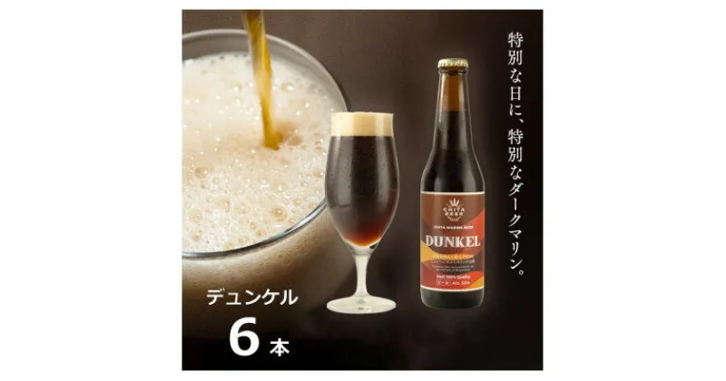 【ふるさと納税】知多マリンビール (デュンケル) 6本 クラフトビール ラガー ダークビール【配送不可地域：離島】【1440942】