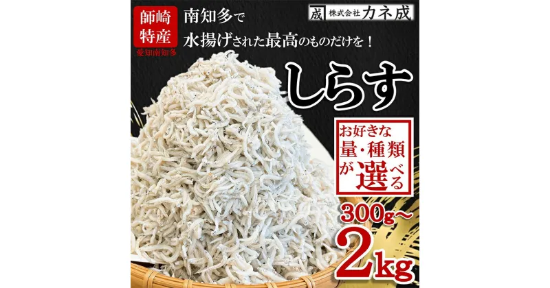 【ふるさと納税】 しらす 【量・種類が選べる】 300g ～ 2kg 小分け 釜揚げ しらす 干し ちりめんじゃこ ( ふるさと納税しらす ふるさと 南知多 しらす ふるさと納税 釜揚げしらす ふるさと納税 訳あり しらす ふるさと納税 ちりめん カネ成 人気 ) 愛知県 南知多町