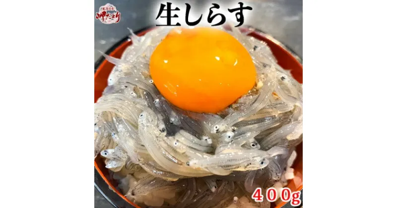 【ふるさと納税】 生しらす(お刺身) 400g(100g×4個) 岬だより 【配送不可地域：離島】