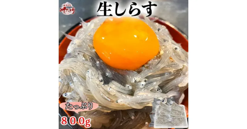 【ふるさと納税】 生しらす(お刺身) 800g(100g×8個) 岬だより 【配送不可地域：離島】