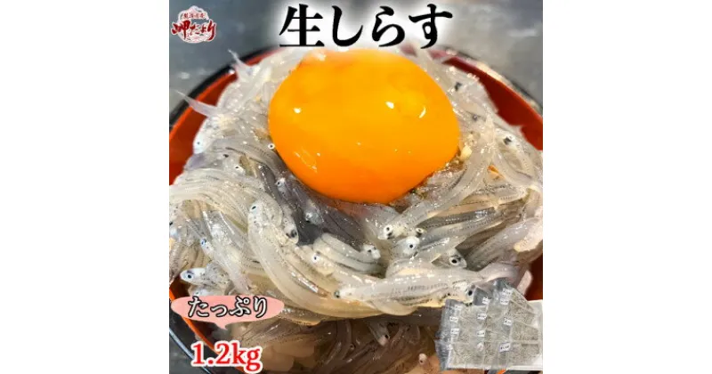 【ふるさと納税】 生しらす(お刺身) 1.2kg(100g×12個) 岬だより 【配送不可地域：離島】