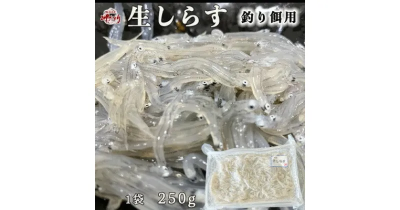 【ふるさと納税】岬だよりの 生しらす釣り餌用 250g×1袋【配送不可地域：離島】