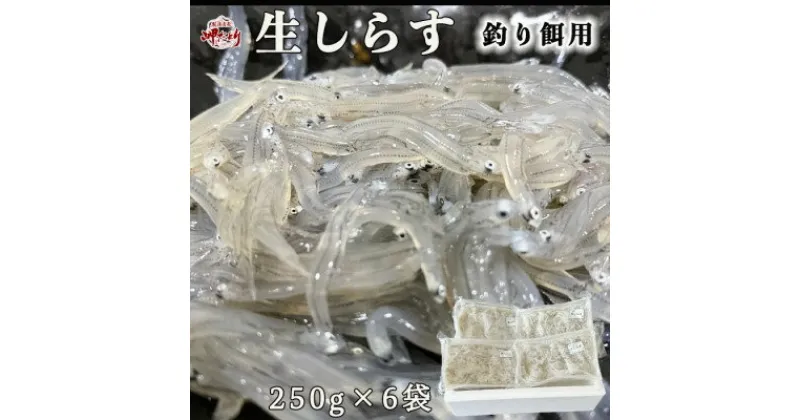 【ふるさと納税】岬だよりの 生しらす釣り餌用 250g×6袋【配送不可地域：離島】【1457301】