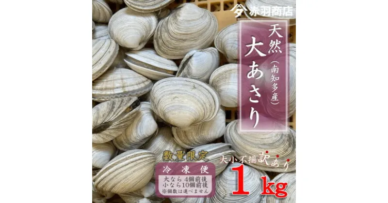 【ふるさと納税】訳あり 南知多町産 活大あさり 約1kg 大なら4個前後 小なら10個前後 不揃い※個数は選べません【配送不可地域：離島・北海道・沖縄県・東北・中国・四国・九州】【1443332】