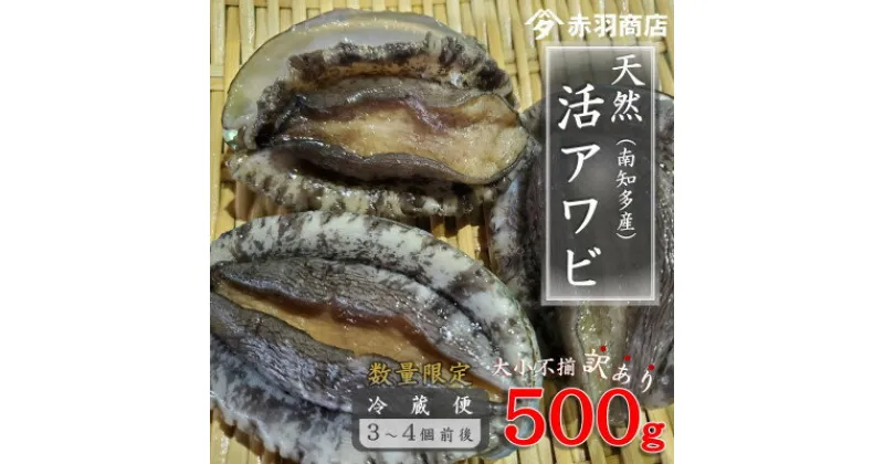 【ふるさと納税】訳あり 南知多町産 天然活アワビ 約500g (2～4個) 捌き方のレシピ付き 大小不揃い【配送不可地域：離島・北海道・沖縄県・東北・中国・四国・九州】【1443345】