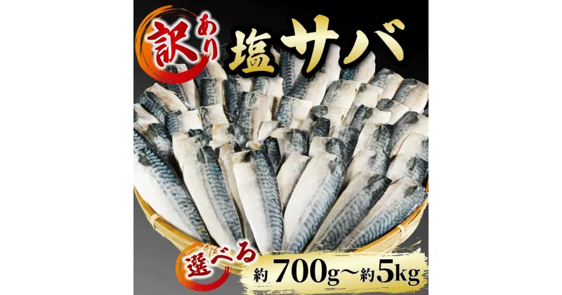 【ふるさと納税】 塩 サバ フィレ 【内容量が選べる】 約 700g 約 3kg 約 5kg ( ふるさと 納税 訳あり ふるさと納税 さば ふるさと納税 鯖 ふるさと納税 塩サバ ふるさと納税 冷凍サバ 規格外 不揃い 魚 切り身 おかず 惣菜 大容量 ) 愛知県 南知多町