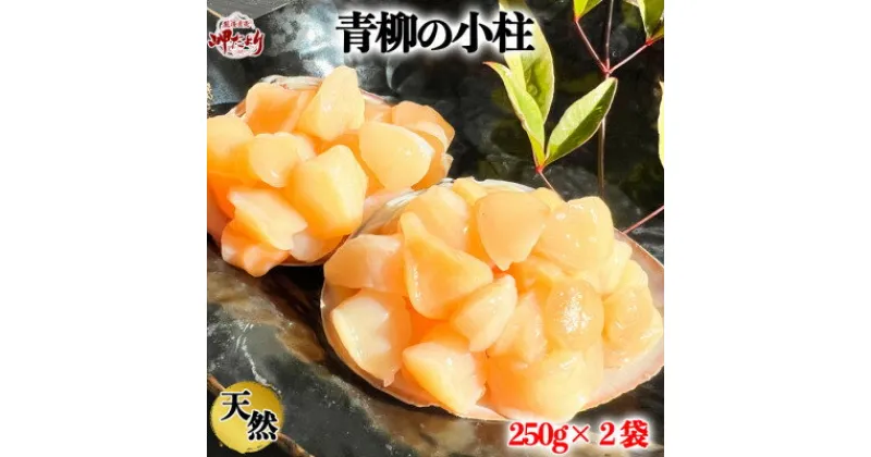 【ふるさと納税】岬だよりの【貝専門店】天然の青柳小柱　250g×2袋【配送不可地域：離島】【1469652】