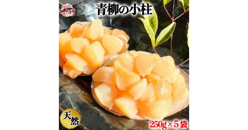 【ふるさと納税】岬だよりの【貝専門店】天然の青柳小柱　250g×5袋【配送不可地域：離島】【1469671】