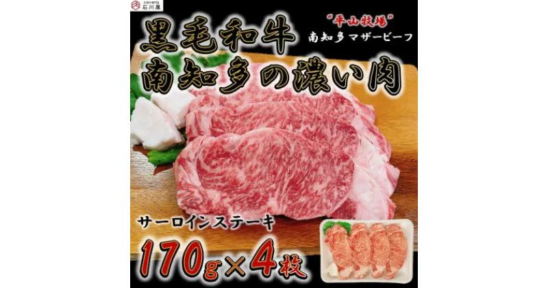 【ふるさと納税】 数量限定 国産 牛肉 サーロインステーキ 680g ( 170g × 4枚 ) 平山牛 冷凍 ( ふるさと納税 ステーキ ふるさと納税 牛 ステーキ ふるさと納税 牛肉 ステーキ ふるさと納税 サーロイン ふるさと納税 黒毛和牛 ） 愛知県 南知多町 【配送不可地域：離島】