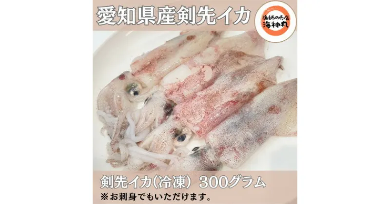 【ふるさと納税】 ケンサキ イカ ( アカイカ ) 300g × 2袋 冷凍 海鮮 魚介 海の幸 真空 パック 小分け バター 炒め 姿焼き パスタ フライ 揚げ物 アヒージョ 愛知県 南知多町 人気 おすすめ【配送不可地域：離島】