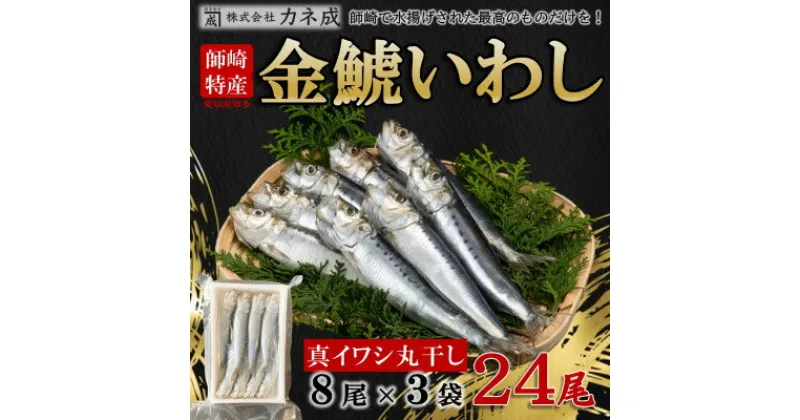 【ふるさと納税】 いわし 丸干し 24尾 ( 8尾 × 3 p ) 干物 冷凍 小分け ( ふるさと納税 干物 ふるさと納税 ひもの ふるさと納税 南知多 ふるさと納税 丸干し ふるさと納税 イワシ 鰯 節分 いわし カネ成 人気 おすすめ ) 愛知県 南知多町【配送不可地域：離島】