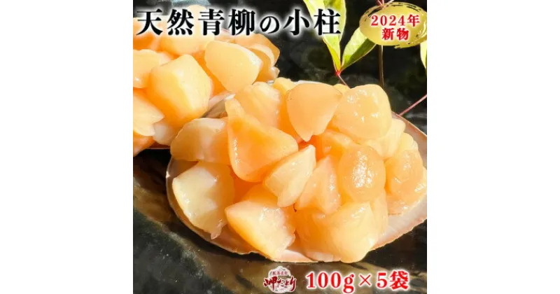 【ふるさと納税】岬だよりの【貝専門店】天然の青柳小柱　100g×5袋【配送不可地域：離島】【1484453】