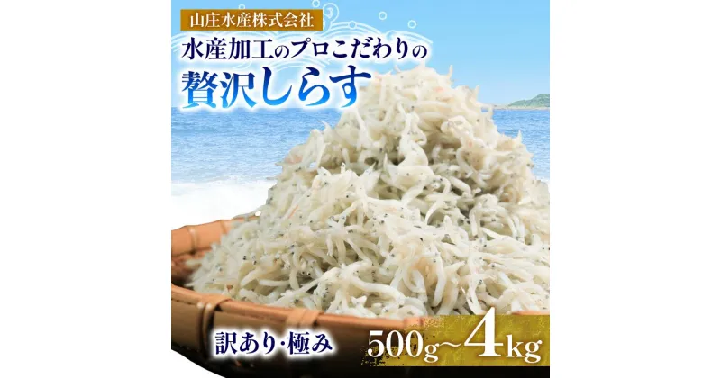 【ふるさと納税】 【種類・量が選べる】しらす 500g 1kg 2kg 4kg 訳あり しらす干し 減塩 極み 山庄 師崎( ふるさと納税しらす ふるさと納税 ちりめん ふるさと納税 魚 ふるさと納税 南知多 工場直送 ) 愛知県 南知多町