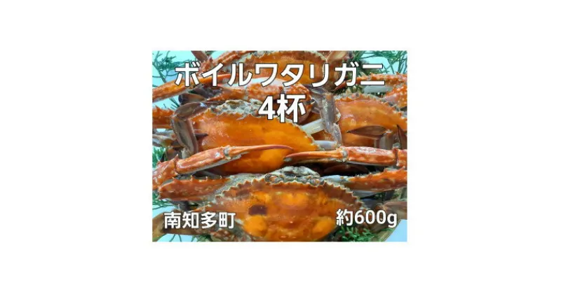 【ふるさと納税】 ボイル ワタリガニ 600g 4杯 冷凍 渡り蟹 海鮮 新鮮 魚介 海の幸 海産物 シーフードエム・エム 愛知県 南知多町