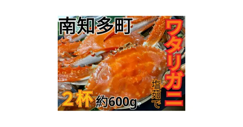 【ふるさと納税】 ワタリガニ 600gg 2杯 冷凍 ボイルワタリガニ 渡り蟹 海鮮 新鮮 魚介 海の幸 海産物 シーフードエム・エム 愛知県 南知多町