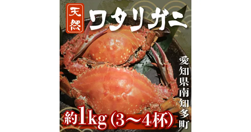 【ふるさと納税】 訳あり ボイル ワタリガニ 1kg ( 3~4杯 ) 茹で 渡り蟹 カニ 蟹 魚介 海鮮 新鮮 冷凍 パスタ 鍋 なべ 味噌汁 味噌 みそ 愛知県 南知多町 人気 おすすめ 【離島不可】