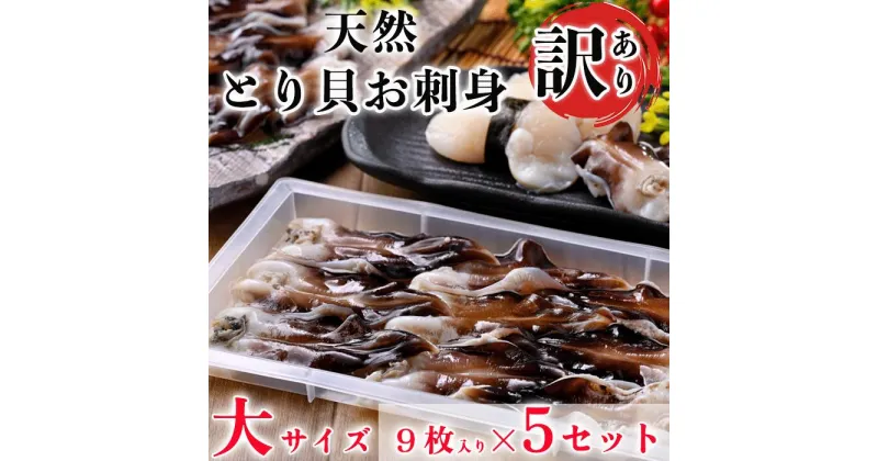 【ふるさと納税】 【見た目訳あり】とり貝お刺身(大9枚入り)5セット【配送不可地域：離島】