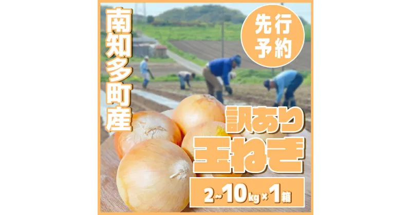 【ふるさと納税】 玉ねぎ 2 ～ 10kg 【先行予約 5～6月出荷】 ( ふるさと納税 玉ねぎ ランキング ふるさと 野菜 オニオン 甘い 玉葱 肉じゃが ハンバーグ 家庭用 大きさ不揃い 先行予約 2kg 5kg 10kg 愛知県南知多町 )