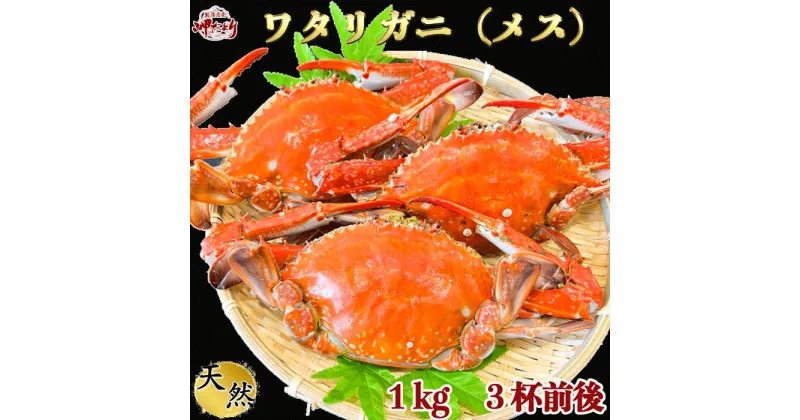 【ふるさと納税】 カニ 1kg (約3杯前後) 冷凍 ボイル済み 調理済み 国産 愛知県 南知多町 ワタリガニ カニ 蟹 カニ爪 蟹爪メス 贈答 プレゼント [配送不可地域：離島]