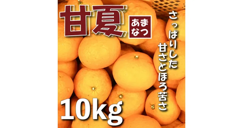 【先行予約】【2月より順次発送】 甘夏 約10kg 国産 化学肥料不使用 あまなつ みかん 蜜柑 柑橘 果物 フルーツ デザート アレンジ レシピ 付き 人気 おすすめ 愛知県 南知多町 【配送不可地域：北海道 青森 秋田 岩手】