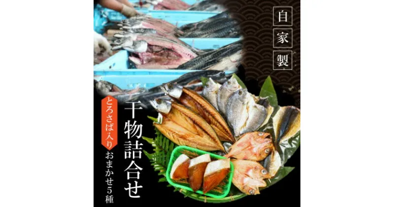 【ふるさと納税】 干物 ひもの 冷凍 5種 おまかせ とろさば ふるさと 納税 さば 鯖 晩酌 ご飯 ふるさと納税さば ギフト 魚 さかな 魚介 海産 海産物 お中元 お歳暮 セット ふるさと納税ひもの 魚太郎 愛知 南知多