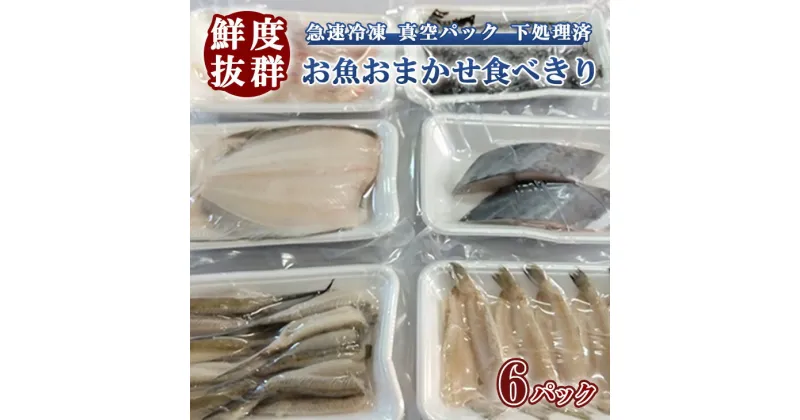 【ふるさと納税】鮮度抜群！お魚おまかせ食べきり6パック・下処理加工してあるので解凍してすぐに調理できます。※着日指定不可※北海道・沖縄・離島への配送不可