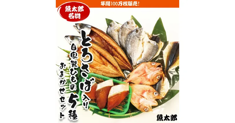 【ふるさと納税】年間100万枚販売！魚太郎名物【とろさば】入り・自家製ひもの5種おまかせセット★鮮度にこだわる魚屋が丁寧に手作業で作りました！※北海道・沖縄・離島への配送不可※着日指定不可