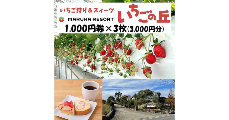 【ふるさと納税】まるは食堂 マルハリゾート いちごの丘1,000円券3枚（3,000円分）※着日指定不可