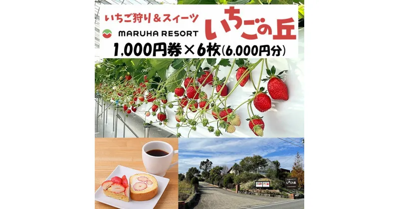 【ふるさと納税】まるは食堂 マルハリゾート いちごの丘1,000円券6枚（6,000円分）※着日指定不可