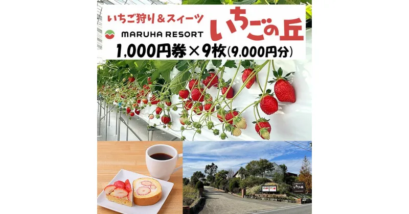 【ふるさと納税】まるは食堂 マルハリゾート いちごの丘1,000円券9枚（9,000円分）※着日指定不可