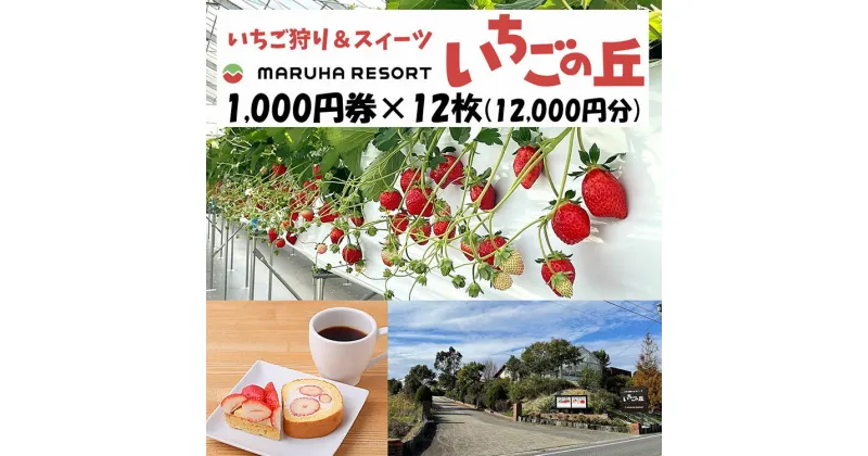 【ふるさと納税】まるは食堂 マルハリゾート いちごの丘1,000円券12枚（12,000円分）※着日指定不可