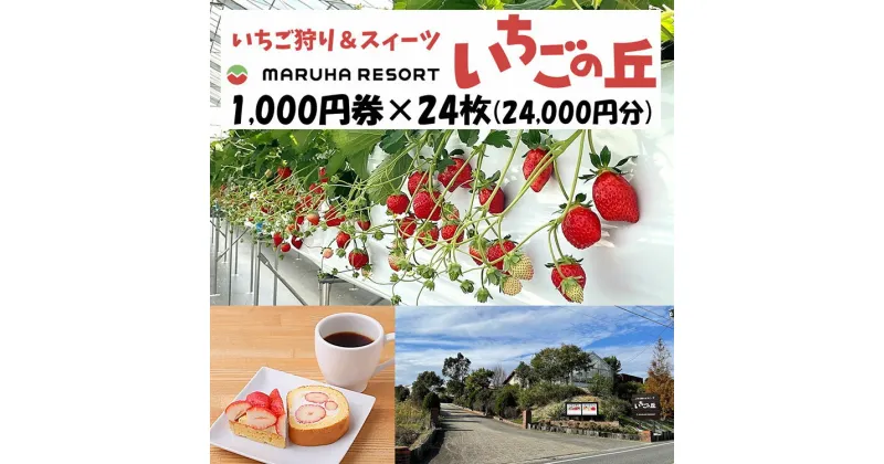 【ふるさと納税】まるは食堂 マルハリゾート いちごの丘1,000円券24枚（24,000円分）※着日指定不可