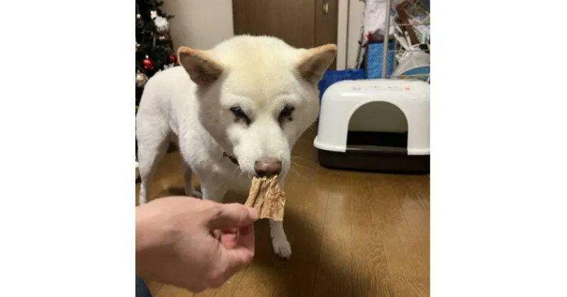 【ふるさと納税】どこでもスグに愛犬のおやつ　牛たん皮約40g×3ヶセット【1448716】