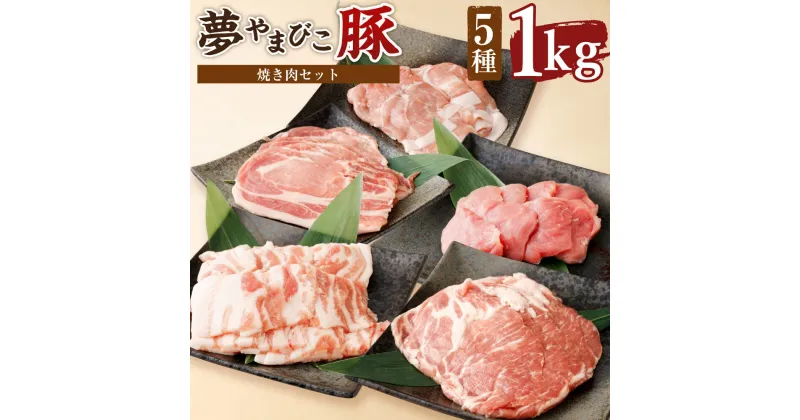 【ふるさと納税】夢やまびこ豚 焼肉セット 1.0kg 合計1kg 5種類 (ロース・肩ロース・バラ・ヒレ・小間切れ) 豚肉 肉 詰め合わせ セット 焼肉用 焼き肉 BBQ 小分け 真空パック 冷蔵 送料無料