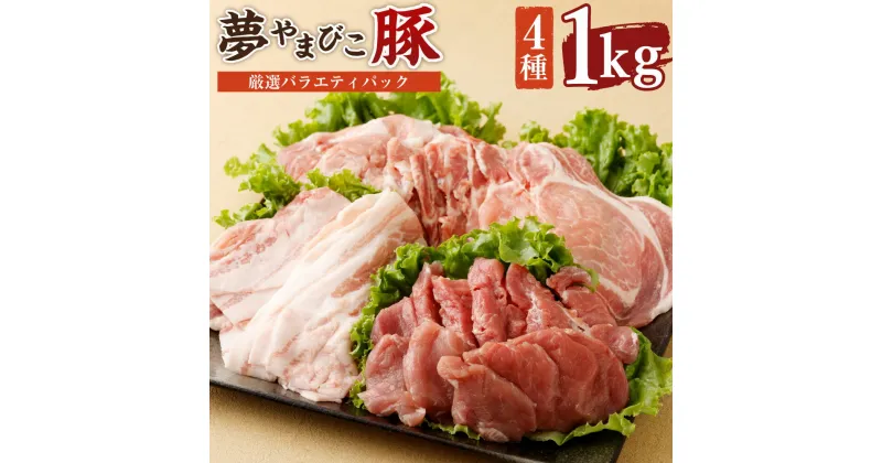 【ふるさと納税】幸田町産「夢やまびこ豚」厳選バラエティパック 合計1kg 4種類 (ロース・バラ・ヒレ・小間切れ) 豚肉 肉 詰め合わせ セット トンカツ 小分け 真空パック 冷蔵 送料無料