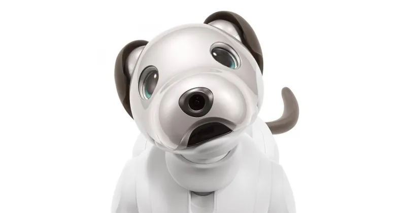 【ふるさと納税】aibo 自律型エンタテインメントロボット(カラー：アイボリーホワイト)　【令和2年度　全国発明表彰「内閣総理大臣賞」受賞】