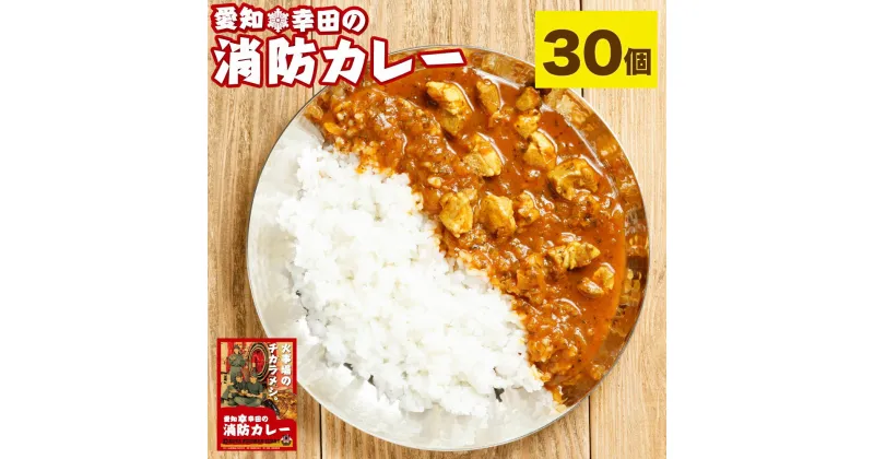 【ふるさと納税】幸田消防カレー 200g×30個 30食セット カレー レトルトカレー レトルト ご当地カレー 小麦粉不使用 豚肉 惣菜 常温保存 保存食 非常食 長期保存 送料無料