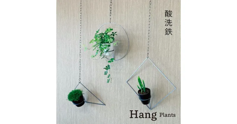 【ふるさと納税】GRAVIRoN Hang Plants シリーズ プランツハンガー (酸洗鉄) Triangle/Diamond/Round 3種 セット ハンギングプランツ プランター ハンギング エアプランツ 吊るす 植物ホルダー 観葉植物 インテリア 金属製 おしゃれ モダン 日本製 送料無料